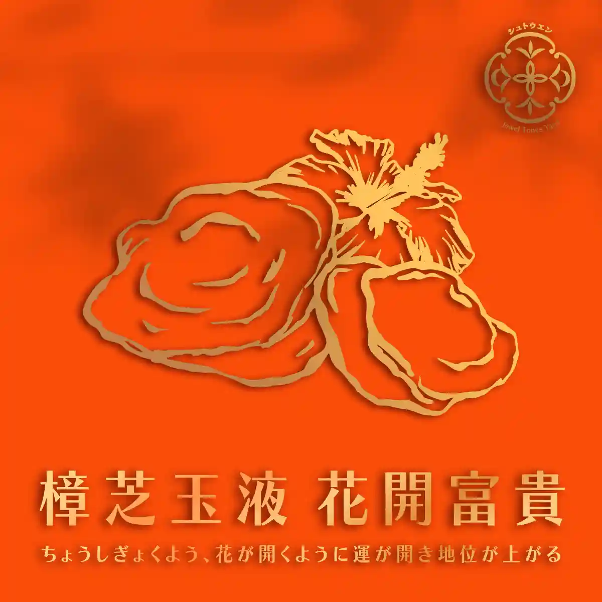 樟芝玉液 細節 2